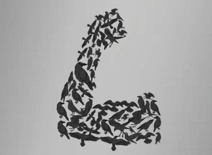 A black-and-white symbolic illustration where dozens of crows are meticulously arranged to form the shape of a powerful, muscular human arm. The flock is clustered to depict a flexed bicep and a forearm ending in a clenched fist. This visual metaphor perfectly illustrates the concept of 'Unity is Strength,' showing how individual birds combine to create a force as formidable as a human muscle.